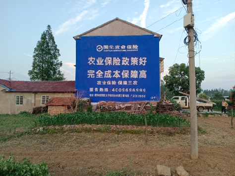  雅江墙体广告为何受追捧？