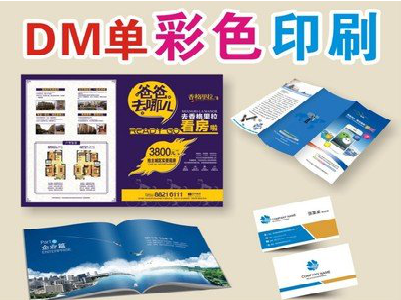  雅江单页印刷，色彩搭配简单。